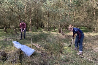 Tree planting - Joel Ireland