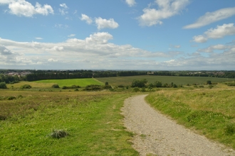 Weetslade Country Park - Steven Morris