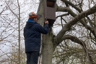 Duncan Hoyle, NWT estates officer installing one of the nest boxes, image Lynette Friend