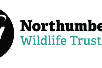 NWT logo