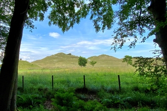 Northumberlandia from woodland - NWT