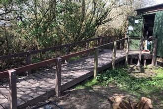 Image of a newly finished, accessible, wooden ramp, at Hollywell Pond nature reserve.