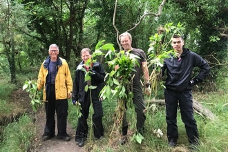 Volunteers clearing Himalayan balsam at Close House