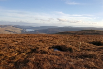 Whitelee Moor - Geoff Dobbins