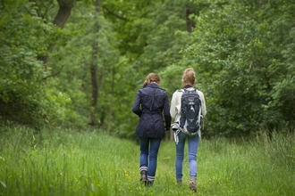 Big Wild Walk. Image be Matthew Roberts.