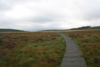 Falstone Moss - John Hartshorne