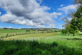 The Haining. Image by Duncan Hutt