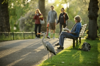 Great British Nature Survey. Image by Terry Whittaker/2020VISION