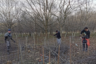 Juliet's Wood coppicing.  Image by Duncan Hoyle.