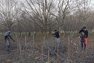 Juliet's Wood coppicing. Image by Duncan Hoyle.