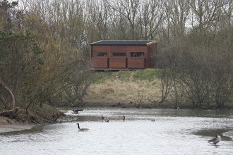 Replacement hide at Hauxley.  Image by Alex Lister.