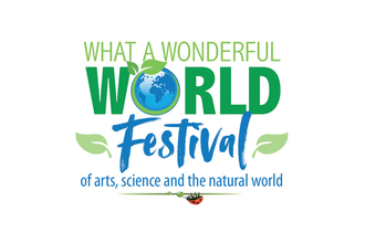 What a wonderful world festival banner
