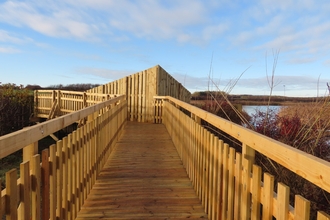 East Chevington hide - Sheila Luck