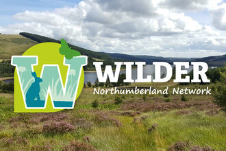 Wilder Northumberland Network web header