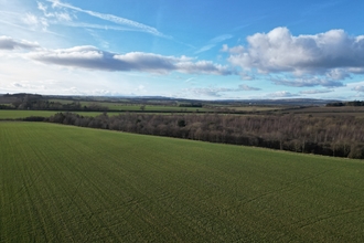 Green field with blue sky.