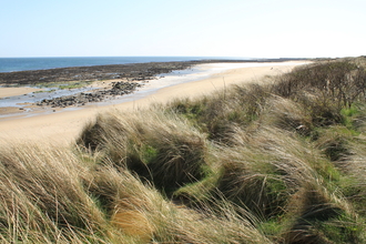 Annstead Dunes