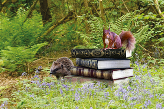 Storytelling with Jim banner