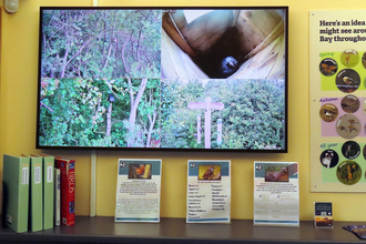 Flat screen TV attached to a yellow wall, screen split into 4 different camera views of different birdfeeders in woods. TV sits above a table with books about birds. There is a poster to the right of the TV about bird ID.