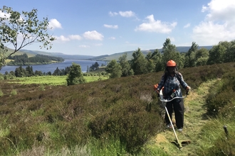 Whitelee Moor path strimming. Image by Chloe Cook.