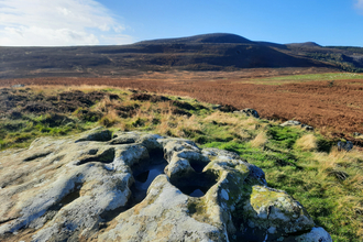 A photograph of the uplands of Rothbury, with a rock in the foreground that looks out upon a field of heather and hills behind them.