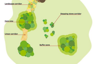 Illustrated map of willdlife corridors, including 'Restoration area', 'Landscape corridor', 'Core area', 'Linear corridor', 'Stepping stone corridor', 'Buffer zone' and 'Sustainable use area'.