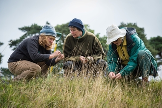 Three women, dressed in outdoor clothing, are crouched down in a field of tall grass, carefully examining the vegetation. They appear to be conducting a survey or study of the plants.  The scene is peaceful and suggests a focus on nature and environmental observation.