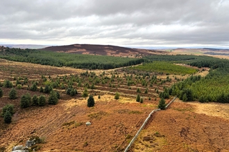 A photograph of Northumberland peat partnerships, with hills and trees covering the ground.