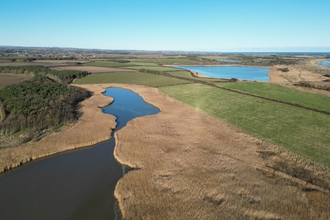 Reedbed at East Chevington. Image by Graham Holyoak.
