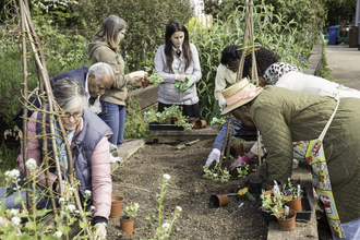 Group of gardeners planting flowers in a raised bed. Image by Penny Dixie.