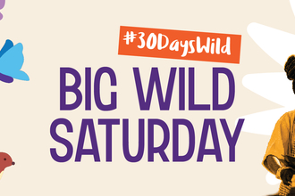 The image is an advertisement for "Big Wild Saturday," part of a "#30DaysWild" campaign. It features stylized illustrations of flowers, a butterfly, and an otter alongside a photograph of two people (a man and a woman) working together, likely in a gardening or crafting context.