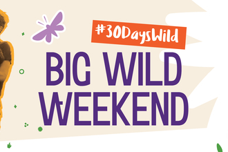 This image is an advertisement for a "Big Wild Weekend" event as part of a "#30DaysWild" campaign. The main visual is a sepia-toned photo of two adults playfully holding children aloft. The text overlay is vibrant and emphasizes the event's name. The background includes stylized floral illustrations.