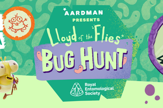 Lloyd of the Flies Bug Hunt Graphic