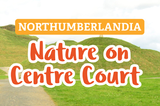 Image of Northumberlandia with the words 'Northumberlandia Nature on Centre Court' overlaid.