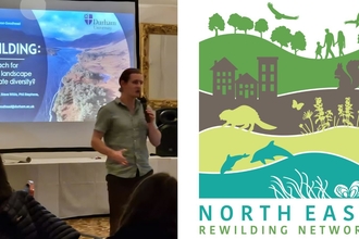 Rewilding Network Talk