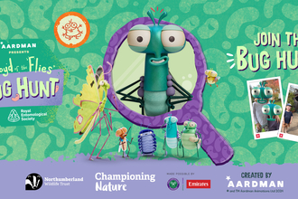This is promotional material for a "bug hunt" based on the Aardman Animations series, *Lloyd of the Flies*. The image features cartoon bugs, including the main character Lloyd, a friendly-looking stick insect, prominently displayed in a magnifying glass. Smaller cartoon bugs are shown alongside him. There are also photos of children participating in real-world bug hunts with augmented reality overlays of the cartoon bugs.