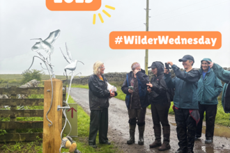 Great North Bog Day 2025: People, Power & Peat!