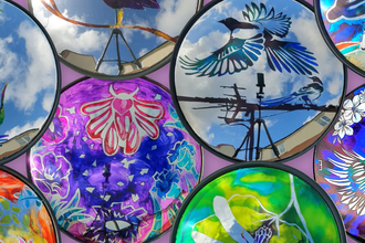 A collage of painted convex mirrors, featuring local wildlife in a variety of colours.