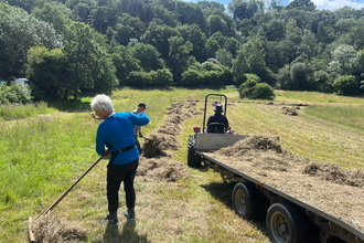 A volunteer raking the grass next to a tractor and trailer with trees in the background. Image by Chloe Cook.