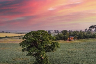 A tree stands in a field with a pink, blue and orange cloundy sky above.