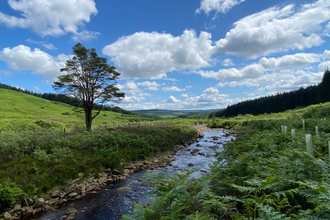Northumberland stream for Future Forests blog, photo by Natasha Hemsley