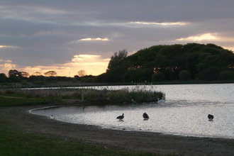 The lake and trees at Holywell Pond at sunset. Image by Duncan Hutt.