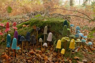 The image shows numerous colourful, felted mushrooms are arranged around the base of a moss-covered tree stump. The mushrooms vary in colour, ranging from reds and purples to blues, greens, and yellows, creating a vibrant contrast against the natural backdrop of brown leaves and green moss. A small, felted bird is nestled among the mushrooms at the bottom right. In the background, there are trees and foliage typical of a forest, with a soft, diffused light adding to the enchanting atmosphere.