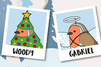 Four cartoon robins in festive costumes, each in a polaroid frame with names: Wenceslas wearing a gold crown, Woody dressed as a Christmas tree with ornaments and a star, Gabriel with angel wings and halo, Sparkle with a headband featuring two gold stars.