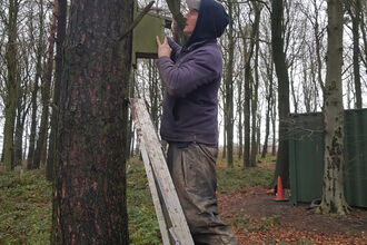 A person standing on a ladder in a wooded area installs or inspects a bird box attached to a tree.