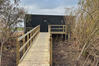 A wooden ramp with handrails leads through sparse trees to a small black wooden building under a cloudy sky.