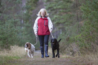 Dog walker flanked by a labrador and spaniel on leads. Image by Peter Cairns 2020 VISION.