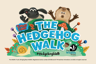 A banner featuring colourful cartoon characters from Timmy Time standing behind a bright, playful title that reads “The Hedgehog Walk.” The design includes illustrated leaves, mushrooms, and a snail, along with The Wildlife Trusts logo and the hashtag #HedgehogWalk.