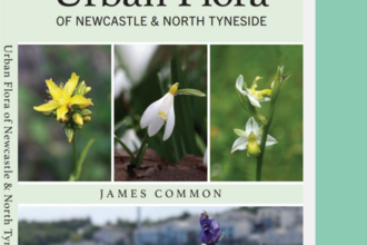 Graphic reading 'Urban Flora of Newcastle and North Tyneside', with four close-up photos of wildflowers.