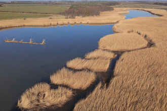 Aerial view of a body of water bordered by golden reedbeds and marshland, with fields and trees in the distance.