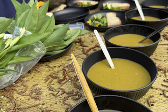 Bowls of soup in a row. Image by Jo Burke.